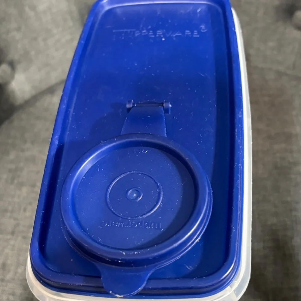 TUPPERWARE  Clear Food Storage Blue Lift Top Lid #471-11 & Container #459-14
